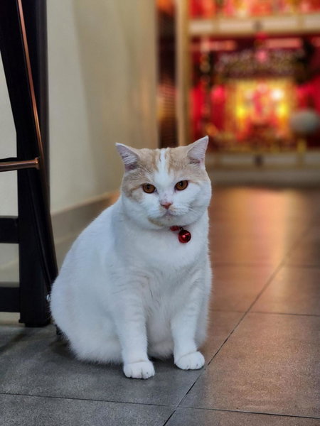 Double D Rooms & Cafe, Bangkok, Thailand