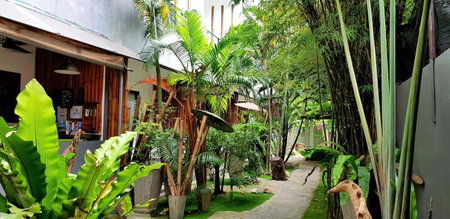 Sairee Sairee Guesthouse, Koh Tao, ประเทศไทย