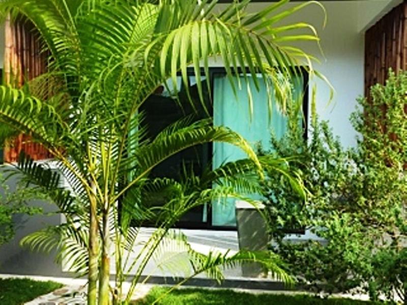 Sairee Sairee Guesthouse, Koh Tao, ประเทศไทย