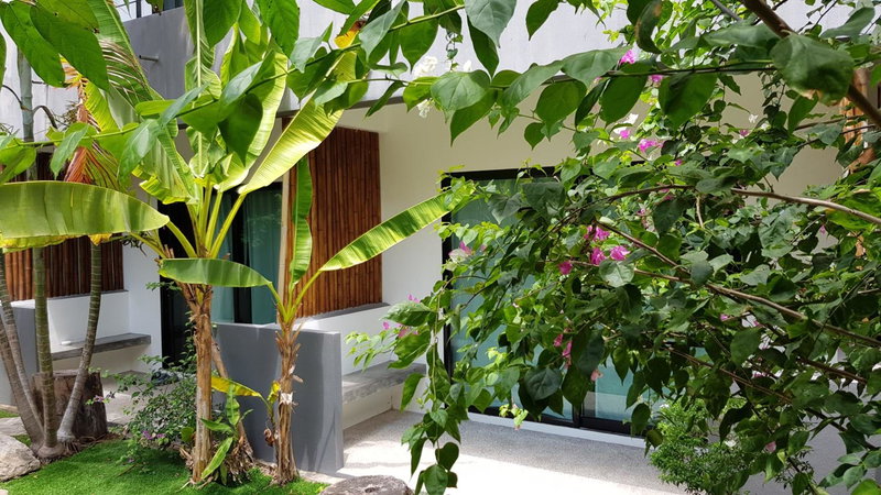 Sairee Sairee Guesthouse, Koh Tao, ประเทศไทย