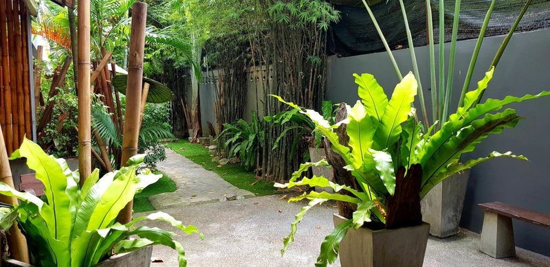 Sairee Sairee Guesthouse, Koh Tao, ประเทศไทย