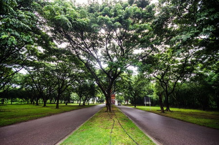 Tawa Ravadee Resort, WorldHotels Distinctive Collection, Si Maha Phot, Thailand