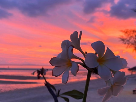 SeaEsta Beach, Ko Samui, Thailand