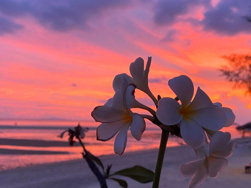 SeaEsta Beach, Ko Samui, Thailand