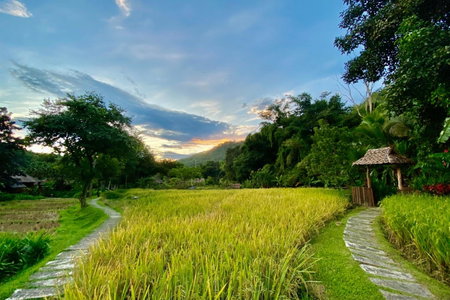 Fern Resort Mae Hong Son, Mae Hong Son, Thailand