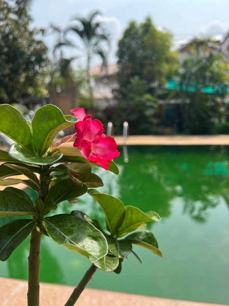 The Royal Shilton Resort, Chiang Mai, Thailand