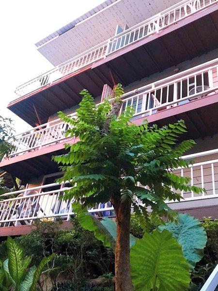 Blue View House Phi Phi, Ko Phi Phi, ประเทศไทย