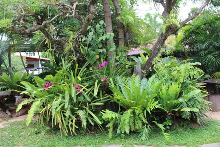 White Elephant Resort, Surin, Thailand