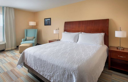 Hilton Garden Inn Albany Medical Center, Albany, United States
