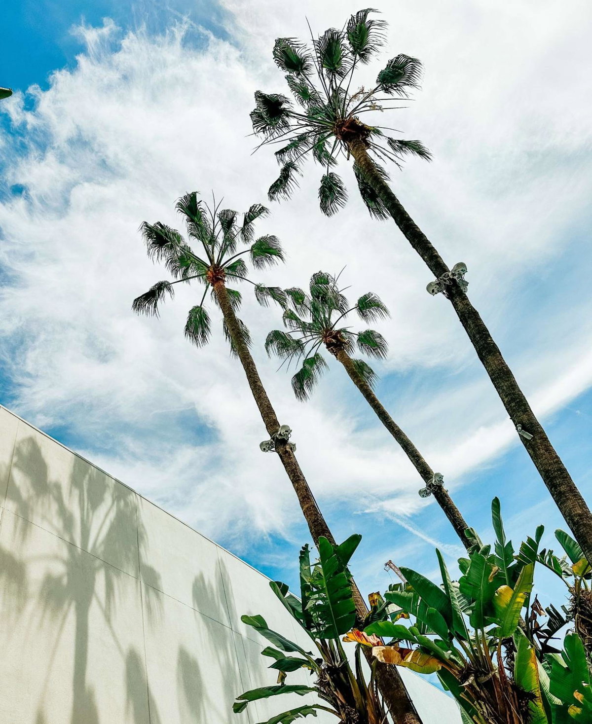 The Beverly Hilton, États-Unis
