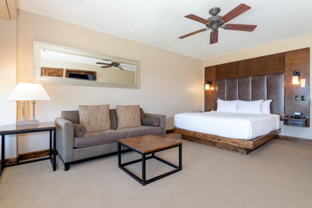 The Peaks Resort and Spa, Telluride, United States