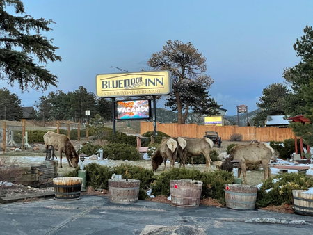 Blue Door Inn, Estes Park, United States