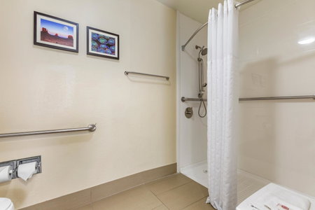 Comfort Inn & Suites Surprise Near Sun City West, Surprise, United States