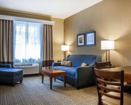 Comfort Inn & Suites Sturbridge-Brimfield, Sturbridge, United States
