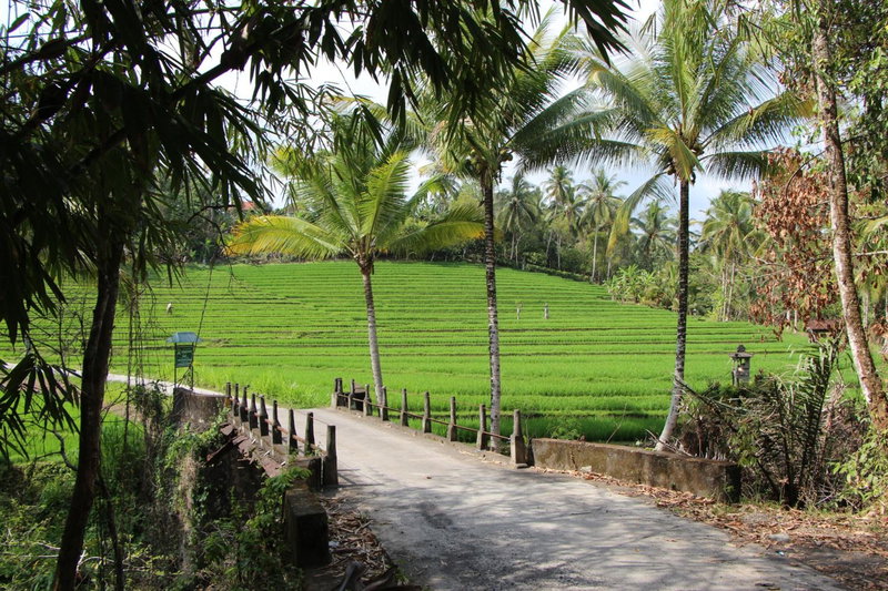 Bali Lush, Selemadeg, Indonesia
