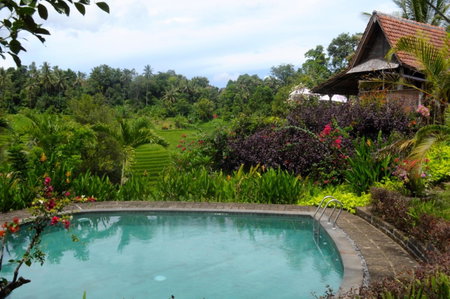 Bali Lush, Selemadeg, Indonesia