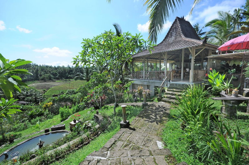 Bali Lush, Selemadeg, Indonesia