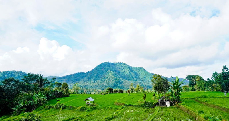 Ume Dukuh Home Sidemen, Sidemen, Indonesia