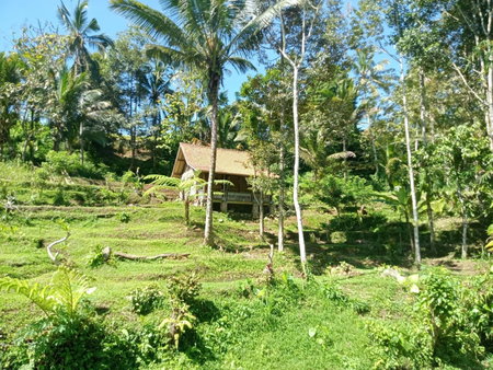 duegoal farmhouse, Jatiluwih, Indonesia