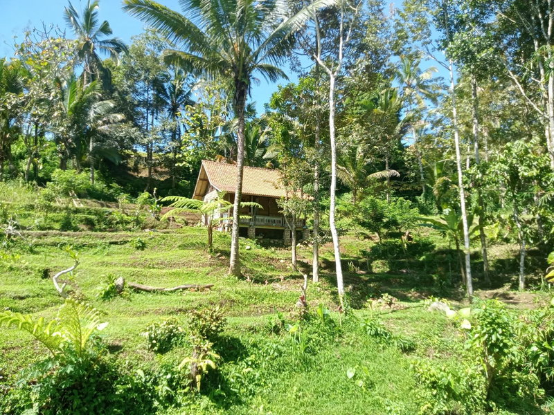 duegoal farmhouse, Jatiluwih, Indonesia
