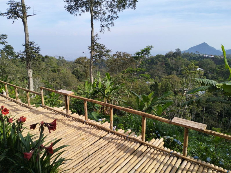 Wanagiri Campsite, Gitgit, Indonésie