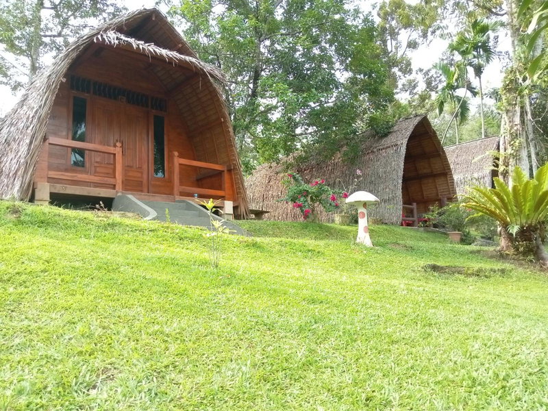 Orangutan Bungalow, Bukit Lawang, Indonesia