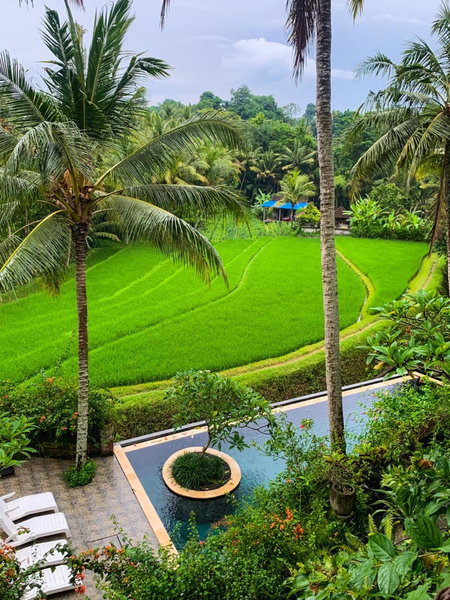 Umasari Rice Terrace Villa by AGATA, Tabanan, 인도네시아 공화국