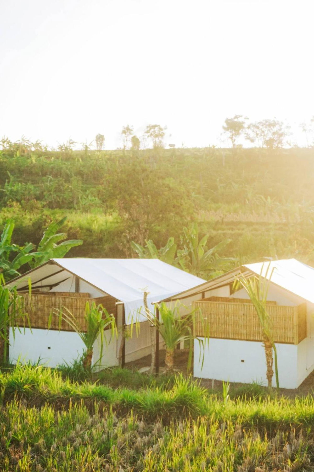 Hotel · Camani Glamping, Amlapura