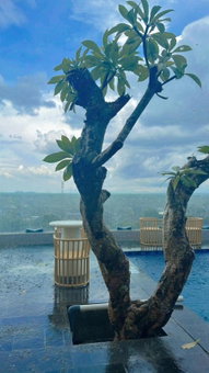 Azana Style Hotel Tulungagung, Tulungagung, Indonesia