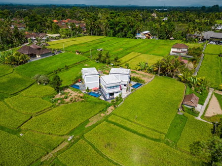 Maple Ridge Ubud Villas with Rice Field View, Ubud, Indonesia