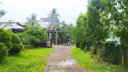 Embun Rinjani Homestay, Senaru, Indonesia
