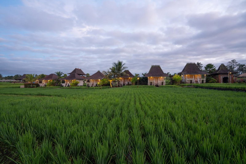Uma Sebatu Villa Ubud, Tegalalang, 인도네시아 공화국