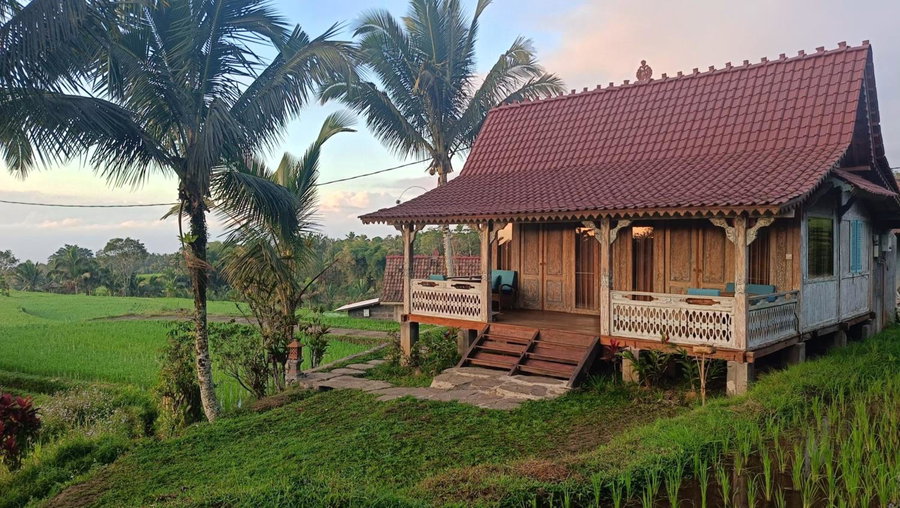 D'Ume Bendoel Homestay, Jatiluwih, Indonesia