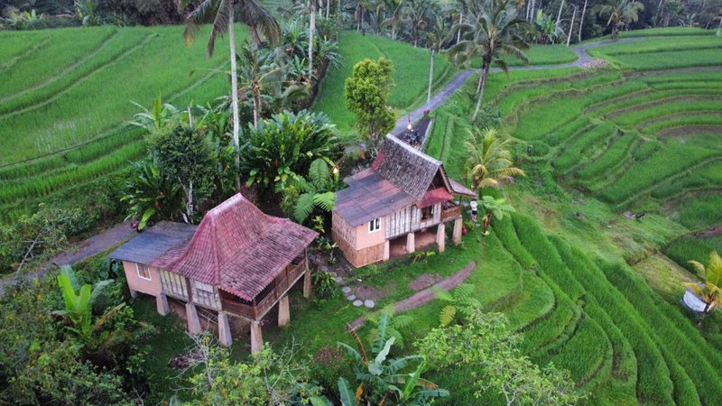 D'Ume Bendoel Homestay, Jatiluwih, Indonesia