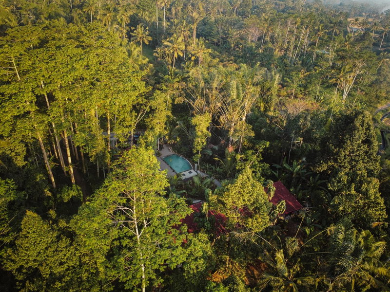 Daydream Lodge Tegallalang, Tampaksiring, Indonesia