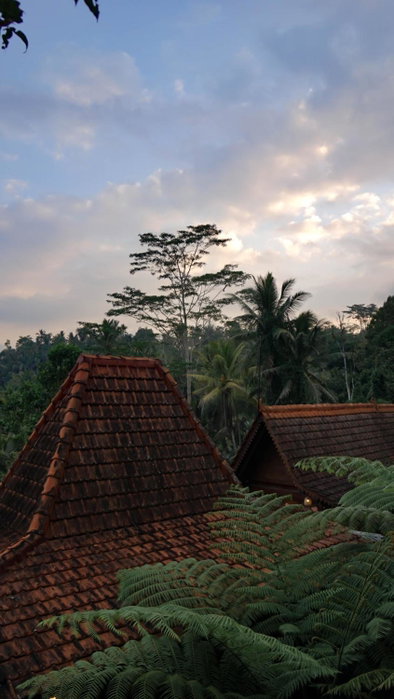 Sebatu Tulen Villa, Tegalalang, Indonesien