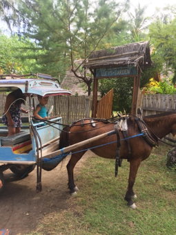 Lucy's Garden Hotel, Gili Air, Indonesia