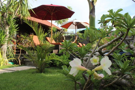 Pattri Garden Lembongan, Nusa Lembongan, Indonesien