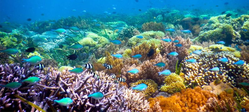 Kiayazo Homestay, Gili Trawangan, Indonesia