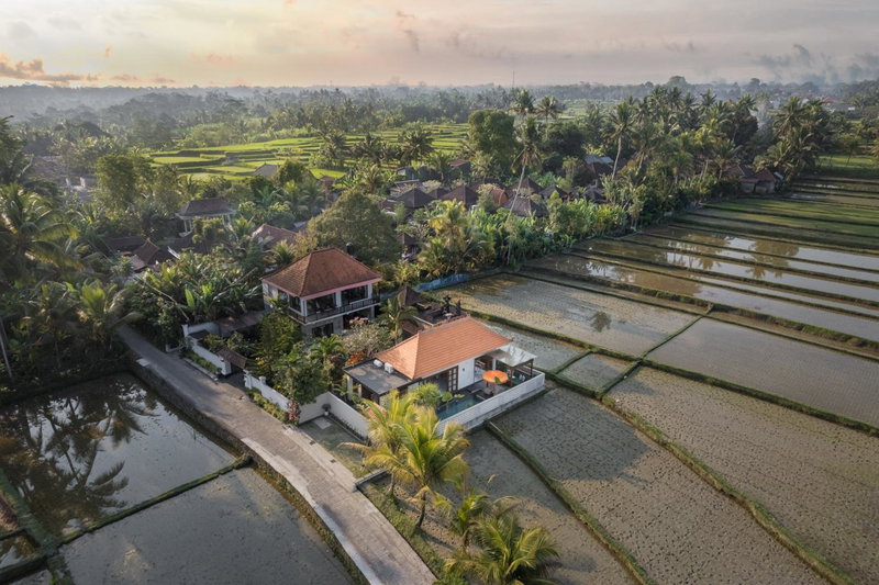Dijero at Umah Bali, Ubud, Indonesien