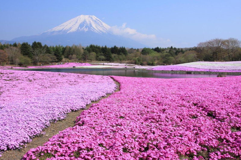 Manten-no-Hoshi, Hakone, Japan