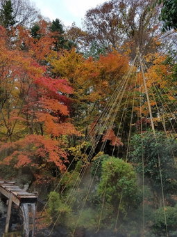 Hotel Housei, Yamanouchi, Япония