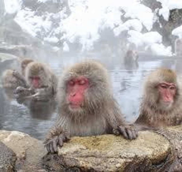Hotel Housei, Yamanouchi, Japan