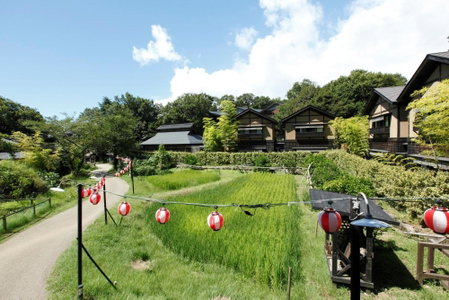 Mori no yu Kira No Sato Reopening on December 22, 2025, Ito, Japón