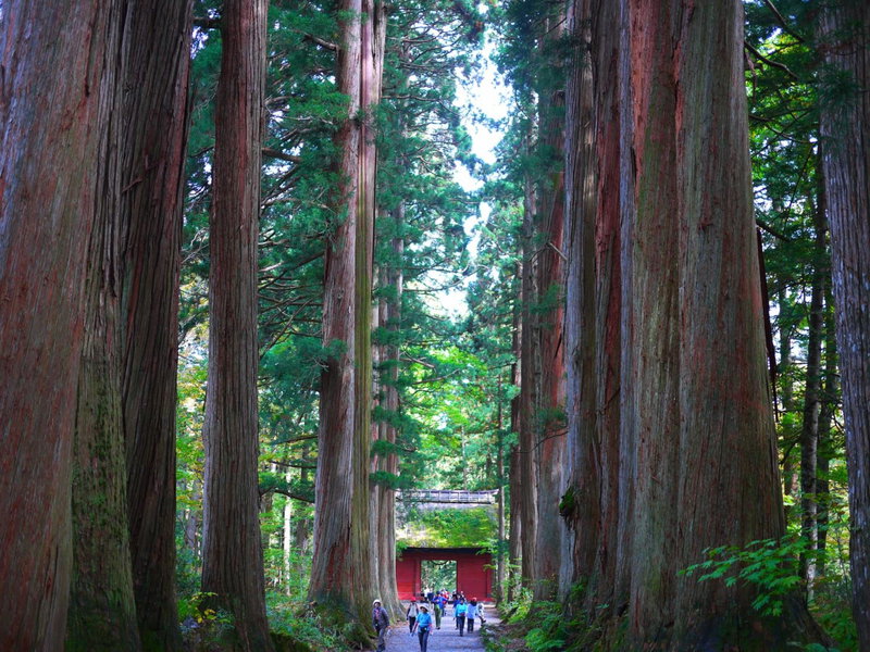Hotel Silk Inn Madarao, Iiyama, Japón