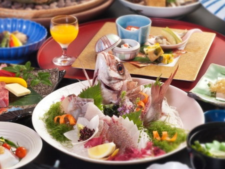 Okudogo Ichiyunomori, Matsuyama, Japon