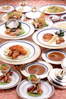 Okura Akademia Park Hotel, Kisarazu, Japan
