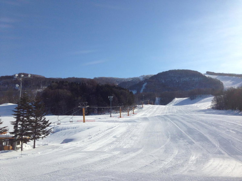Art Hotel Asahikawa, Asahikawa, Japón