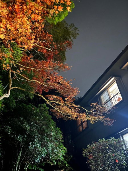 Fuji-Hakone Guest House, Hakone, Япония