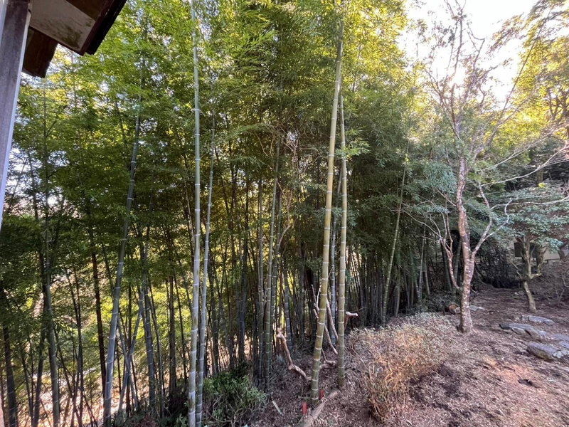 Fuji-Hakone Guest House, Hakone, Япония
